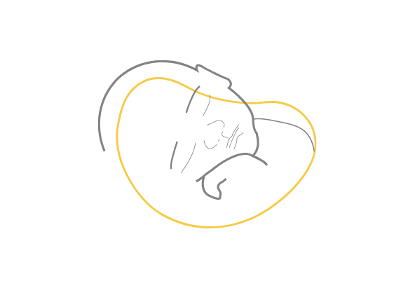 loading